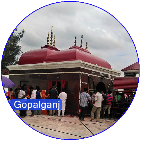 Web & Digital Solution Company in Gopalganj