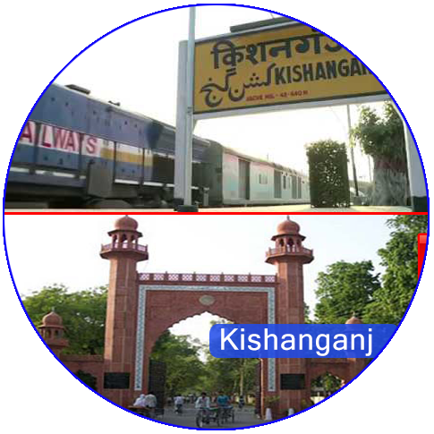 Web & Digital Solution Company in Kishanganj